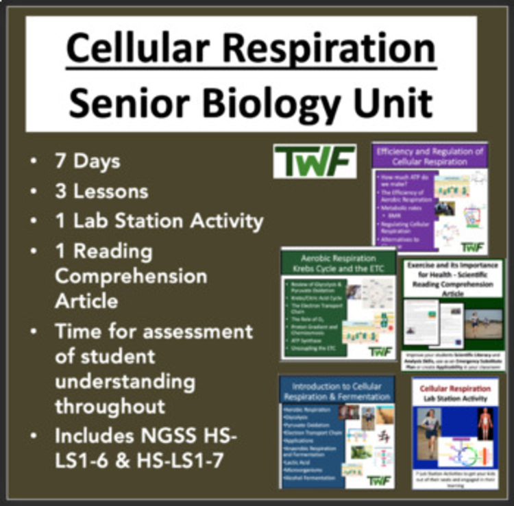 Cellular Respiration Unit - SENIOR Biology Teaching Bundle
