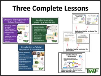 Cellular Respiration Unit - SENIOR Biology Teaching Bundle, image 3