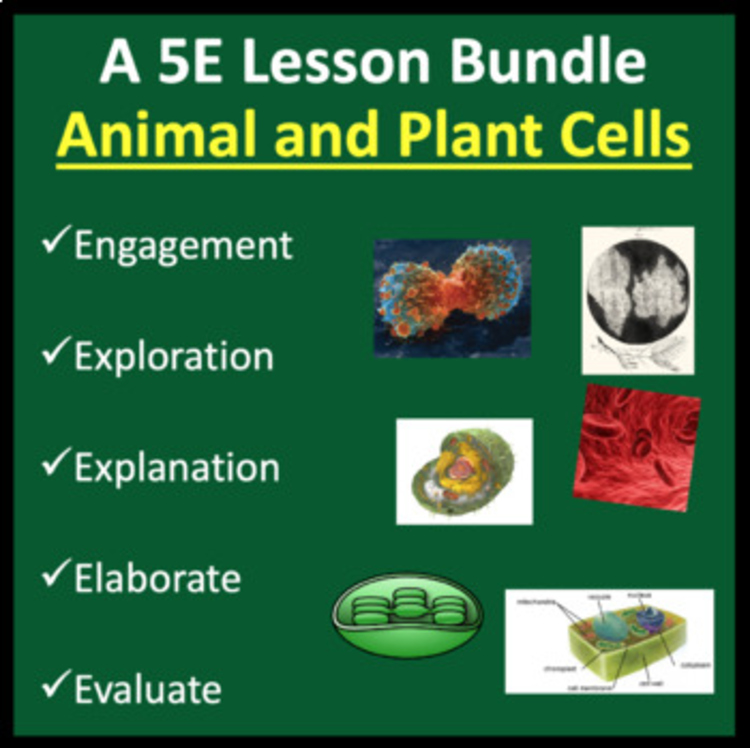 Animal and Plant Cells - 5E Lesson | Organelles, Photosynthesis, Cellular Resp