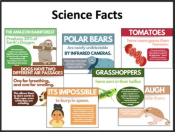 50 Amazing Science Facts - Part 1 - Classroom Posters and Class Starters, image 3