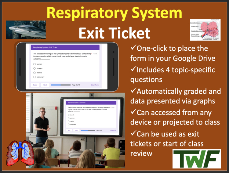 Respiratory System Exit Ticket and Review Activity