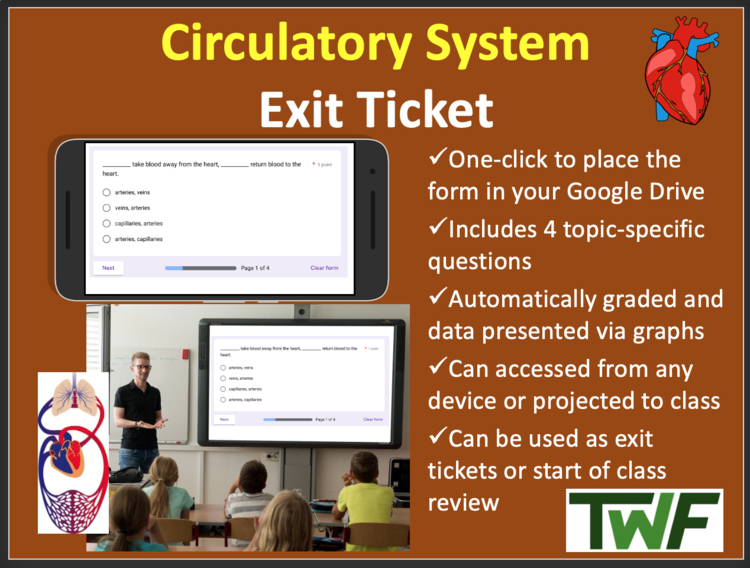 Circulatory System Exit Ticket and Review Activity