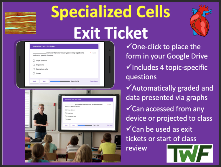 Specialized Cells Exit Ticket and Review Activity