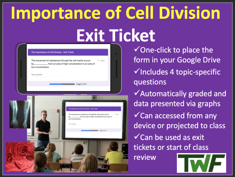 Importance of Cell Division Exit Ticket and Review Activity