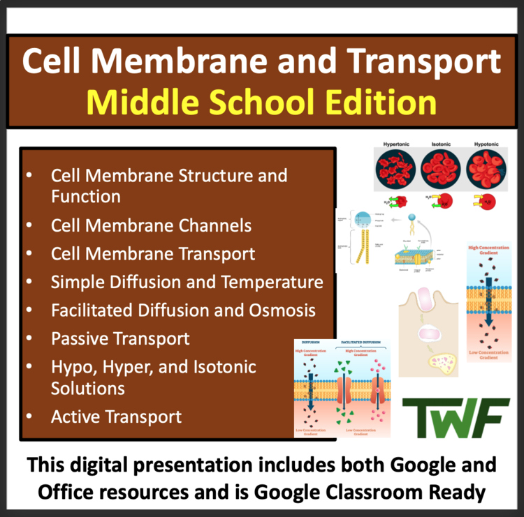 Cell Membrane and Transport - Middle School Lesson & Notes