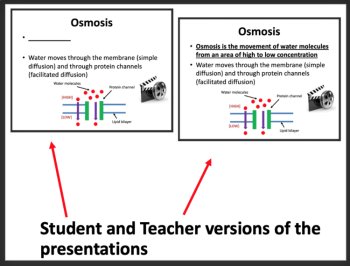 Cell Membrane and Transport - Middle School Lesson & Notes, image 2