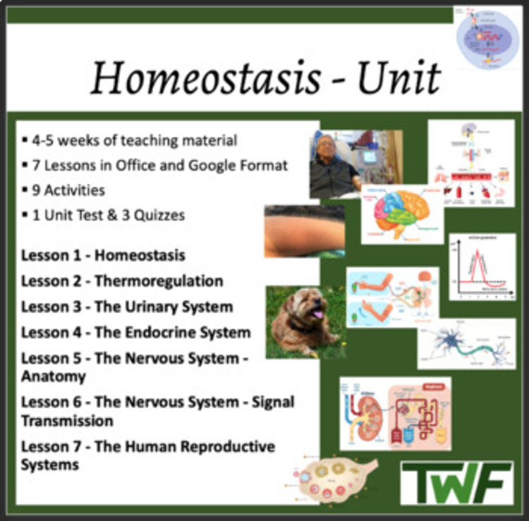 Homeostasis Unit Curriculum | Thermoregulation, Body System Interactions