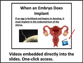 The Reproductive Systems | Male and Female Reproductive Systems, image 2