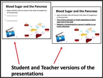 The Endocrine System - Google Slides & Distance Learning Ready, image 2