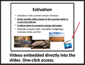 Thermoregulation - Google Slides & Distance Learning Ready, image 2