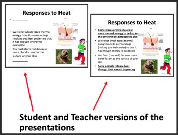 Thermoregulation - Google Slides & Distance Learning Ready, image 3