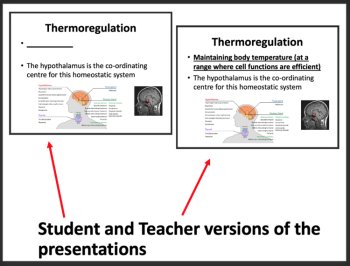 Homeostasis - Google Slides & Distance Learning Ready, image 3