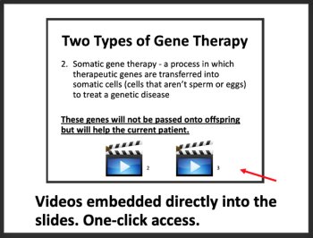 Genetic Disorders, Screening, & Therapy -Google Slides & Distance Learning Ready, image 2