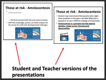 Genetic Disorders, Screening, & Therapy -Google Slides & Distance Learning Ready, image 3