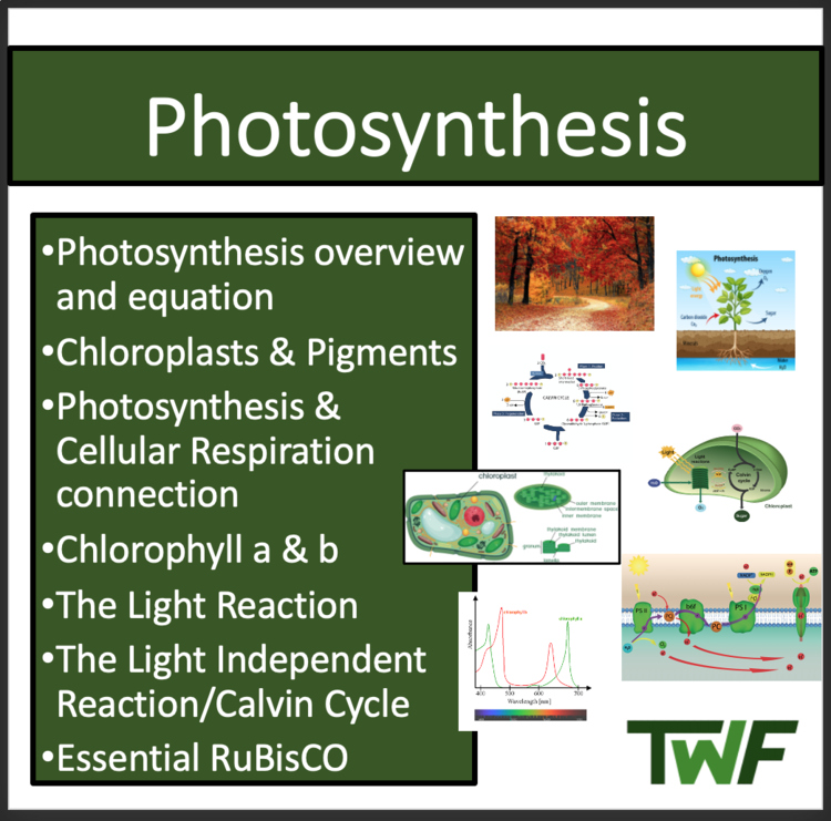Photosynthesis - Comprehensive Senior Biology Resource- Google & Classroom Ready