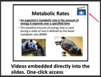 Efficiency and Regulation of Cellular Respiration - Google & Classroom Ready, image 3