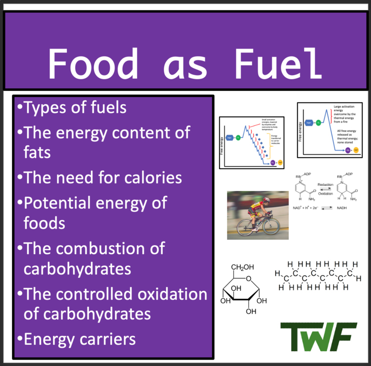 Food as Fuel - Google Slides and Distance Learning Ready