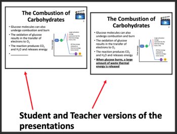 Food as Fuel - Google Slides and Distance Learning Ready, image 3