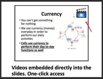 ATP - Energy Currency of the Cell Lesson | ATP Synthesis, ATP Cycle, Biology, image 2