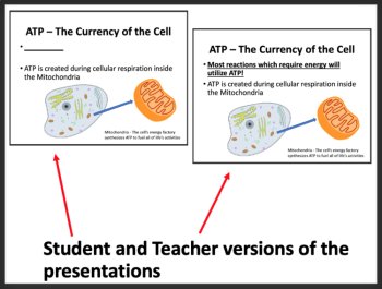ATP - Energy Currency of the Cell Lesson | ATP Synthesis, ATP Cycle, Biology, image 3