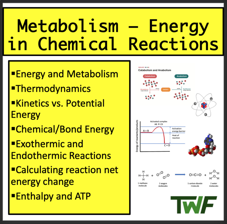 Metabolism - Google Slides and Distance Learning Ready
