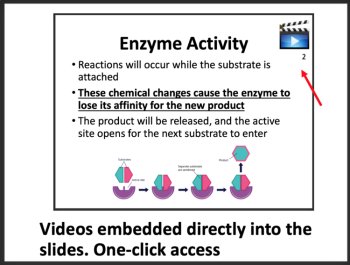 Enzymes Biology Lesson | Structure and Function of Enzymes, Cofactors & Coenzyme, image 2