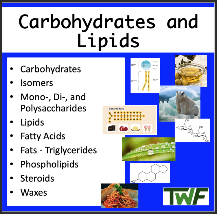 Carbohydrates and Lipids Biology Lesson | Macromolecules, Polysaccharides