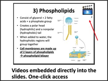 Carbohydrates and Lipids Biology Lesson | Macromolecules, Polysaccharides, image 2