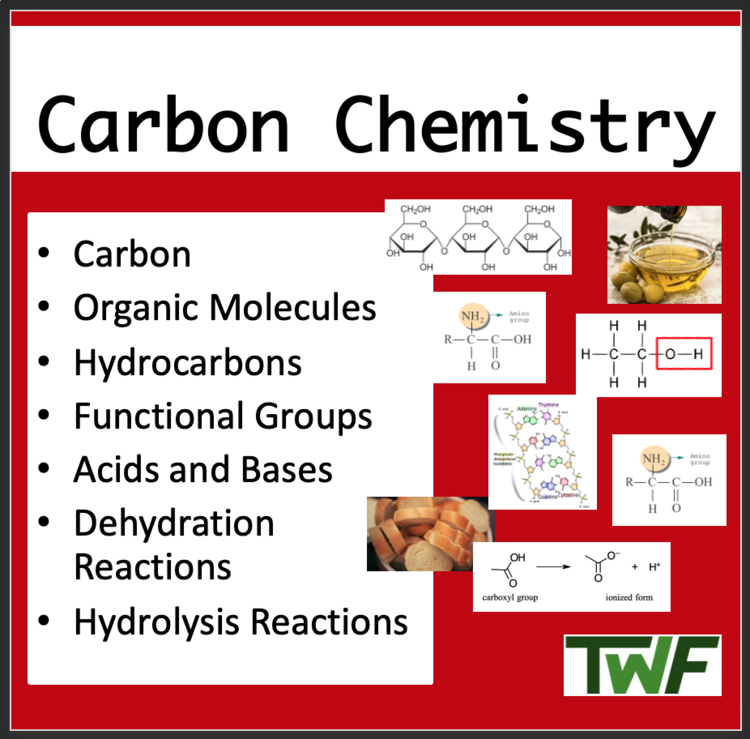 Carbon Chemistry Biology Lesson | Organic Molecules, Functional Groups