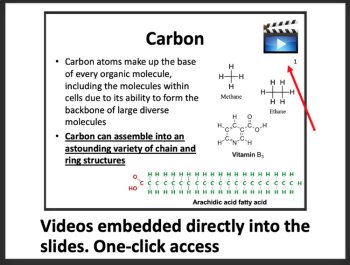 Carbon Chemistry Biology Lesson | Organic Molecules, Functional Groups, image 2