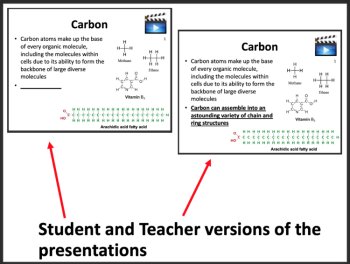 Carbon Chemistry Biology Lesson | Organic Molecules, Functional Groups, image 3