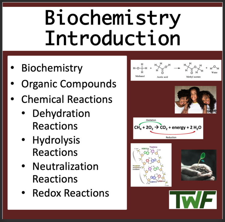 Biochemistry Introduction Biology Lesson | Organic Compounds, Macromolecules