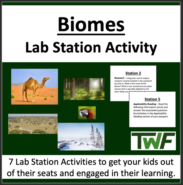 Biomes Lab Station Activity | 7 Hands-on Activities | Tundra, Desert, Grassland
