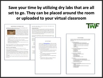 Biomes Lab Station Activity | 7 Hands-on Activities | Tundra, Desert, Grassland, image 4