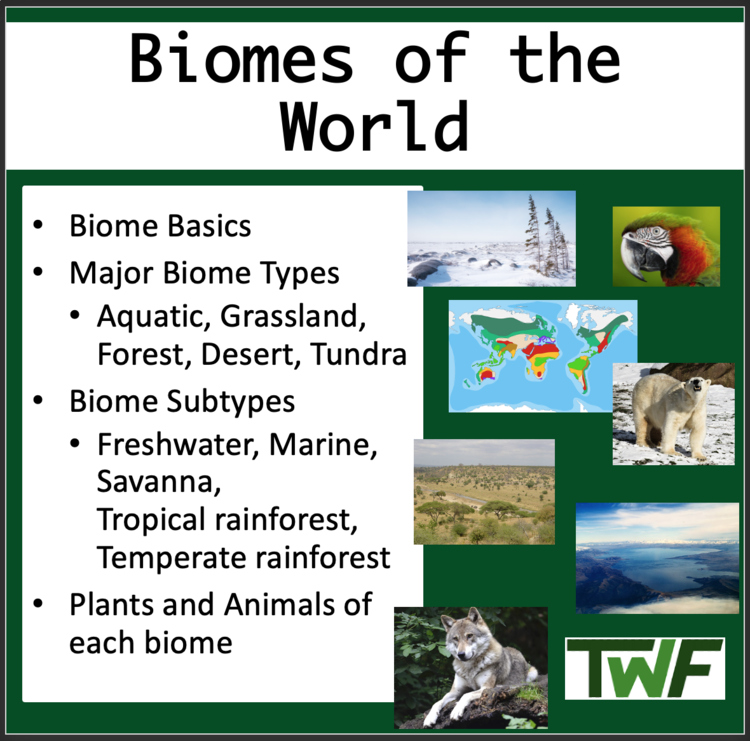 Biomes of the Earth Lesson - Google Slides and Distance Learning Ready