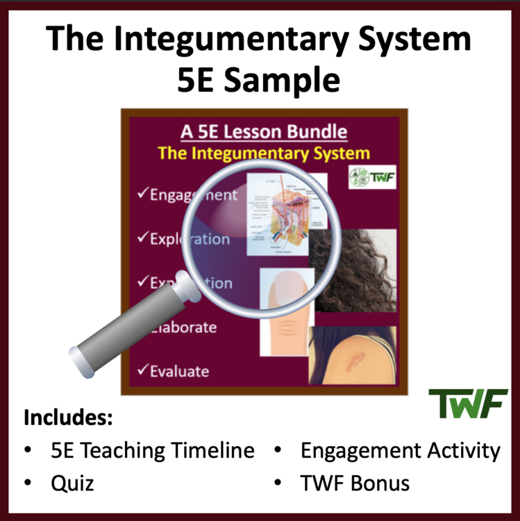 Integumentary System - 5E Bundle - Teaching Timeline & Additional Resources