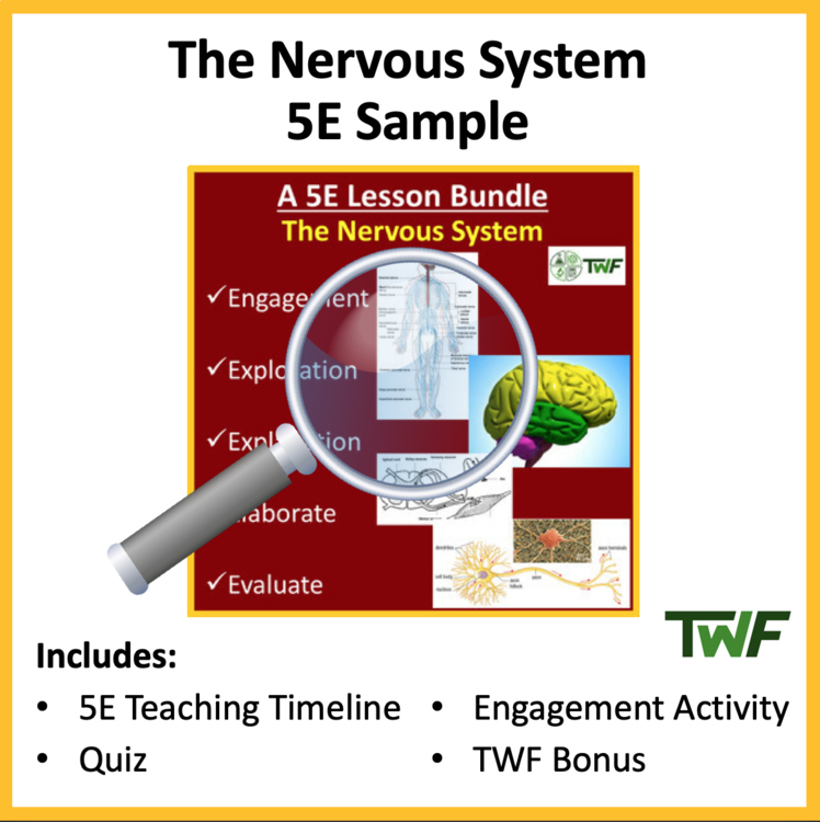 Nervous System - 5E Lesson Bundle- Teaching Timeline and Additional Resources