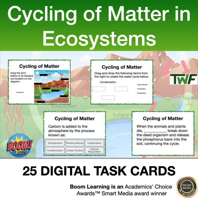 Cycling of Matter in Ecosystems Digital Boom Cards
