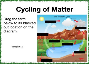 Cycling of Matter in Ecosystems Digital Boom Cards, image 2