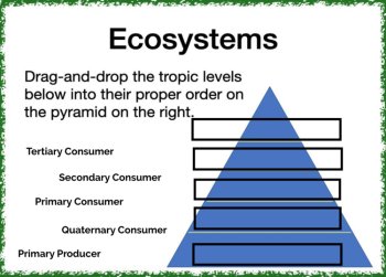 Ecosystems and Energy Flow Digital Boom Cards, image 2