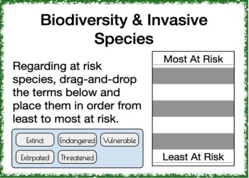Biodiversity and Invasive Species Digital Boom Cards | 25 Engaging Cards, image 2