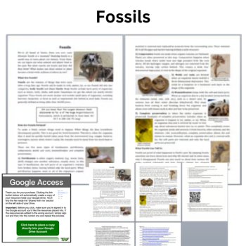 Fossils Reading Comprehension Passage & Questions | 6th, 7th, 8th Grade, image 2