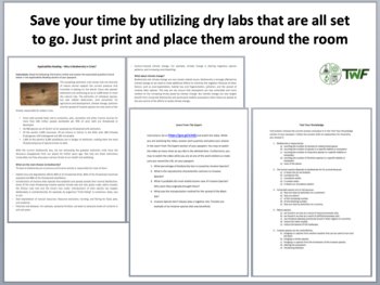 Magnetic Fields Lab Station Activity | Law of Magnetic Poles, Electromagnetism, image 4