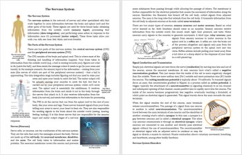 The Nervous System Reading Comprehension Passage and Questions - Grade 8 and Up, image 2
