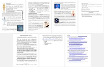 The Nervous System Reading Comprehension Passage and Questions - Grade 8 and Up, image 3