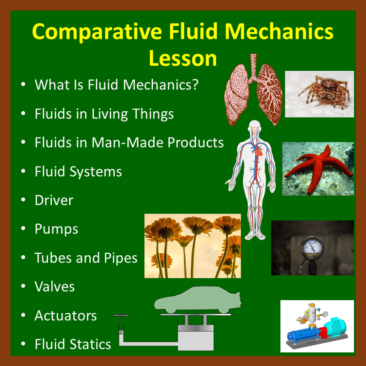 Comparative Fluid Mechanics - PowerPoint Lesson and Student Notes