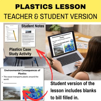 Plastics & the Environment Lesson – Human Impact, Pollution, & Sustainability, image 2