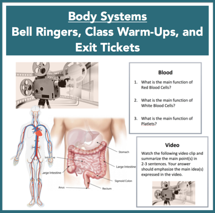 Body Systems - Bell Ringers, Class Warm-Ups, and Exit Tickets