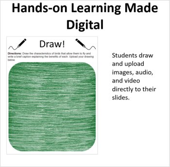 How Living Things Fly - Digital Interactive Notebook Pages, image 2