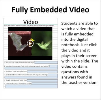 How Living Things Fly - Digital Interactive Notebook Pages, image 3
